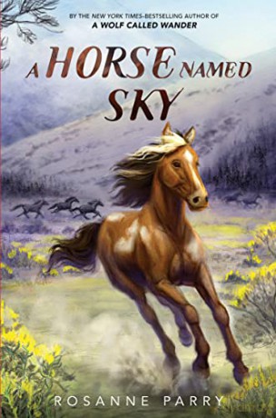 Horse Named Sky Hb - Parry Rosanne [KSIĄŻKA]