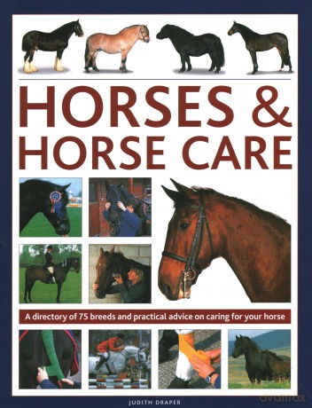 Horses Horse Care - Judith Draper [KSIĄŻKA]