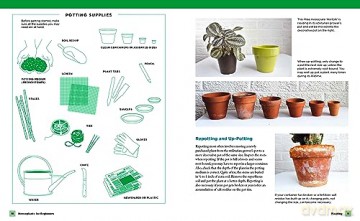 Houseplants For Beginners - Lisa E Steinkof [KSIĄŻKA]