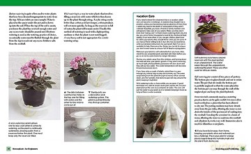 Houseplants For Beginners - Lisa E Steinkof [KSIĄŻKA]