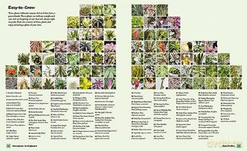 Houseplants For Beginners - Lisa E Steinkof [KSIĄŻKA]