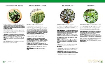 Houseplants For Beginners - Lisa E Steinkof [KSIĄŻKA]