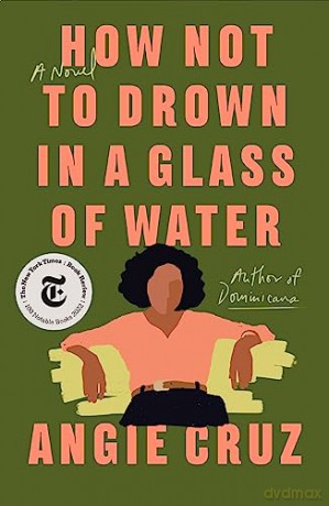 How Not To Drown In A Glass Of Wa - Angie Cruz [KSIĄŻKA]
