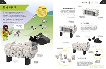 How To Build Lego Animals - Hannah Dolan [KSIĄŻKA]