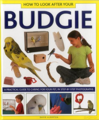 How To Look After Your Budgie - David Alderton [KSIĄŻKA]