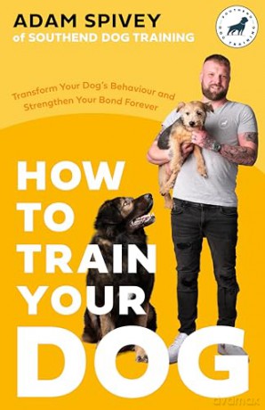 How To Train Your Dog - Adam Spivey [KSIĄŻKA]