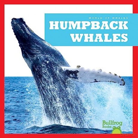 Humpback Whales - Jenna Lee Gleisner [KSIĄŻKA]