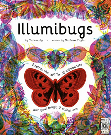 Illumibugs - Barbara Taylor [KSIĄŻKA]