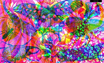 Illumibugs - Barbara Taylor [KSIĄŻKA]
