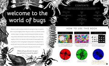 Illumibugs - Barbara Taylor [KSIĄŻKA]