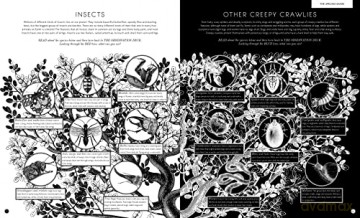 Illumibugs - Barbara Taylor [KSIĄŻKA]