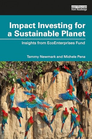 Impact Investing For A Sustainable Plane - Tammy Newmark [KSIĄŻKA]