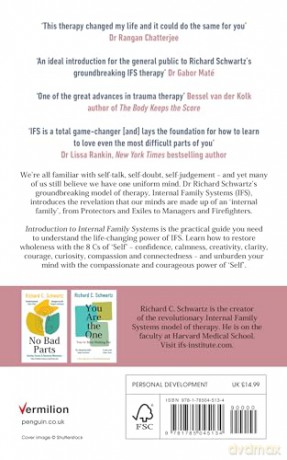 Introduction To Internal Family Systems - Richard Schwartz [KSIĄŻKA]