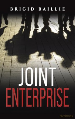 Joint Enterprise - Brigid Baillie [KSIĄŻKA]
