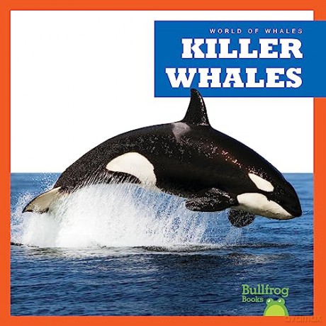 Killer Whales - Katie Chanez [KSIĄŻKA]