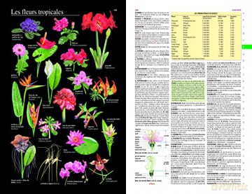 Le Grand Larousse Illustre 1 Carte Dacti - Claire Miquel [KSIĄŻKA]