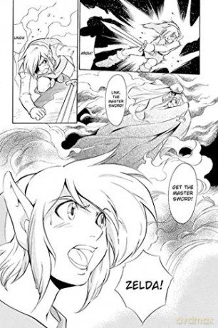Link To The Past - Akira Himekawa [KOMIKS]
