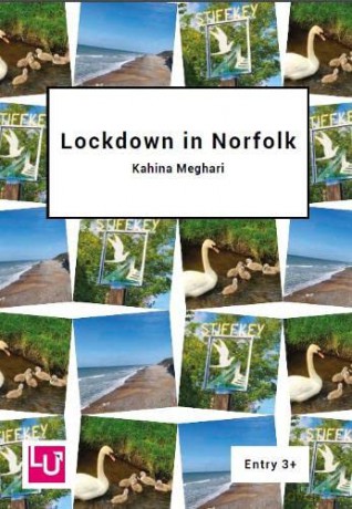 Lockdown In Norfolk [KSIĄŻKA]