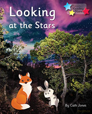 Looking At The Stars [KSIĄŻKA]