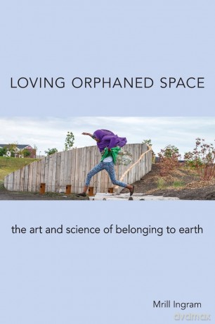 Loving Orphaned Space - Mrill Ingram [KSIĄŻKA]