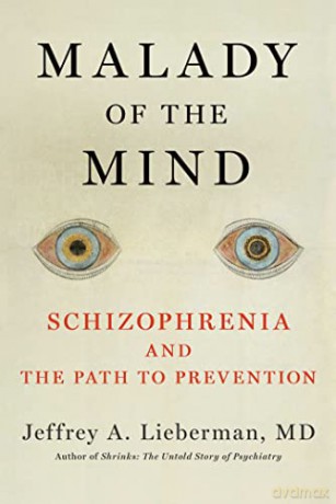 Malady Of The Mind - Jeffrey A Lieberman [KSIĄŻKA]