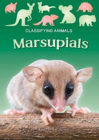 Marsupials - Madeline Tyler [KSIĄŻKA]