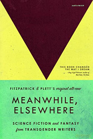 Meanwhile, Elsewhere - Cat Fitzpatrick [KSIĄŻKA]