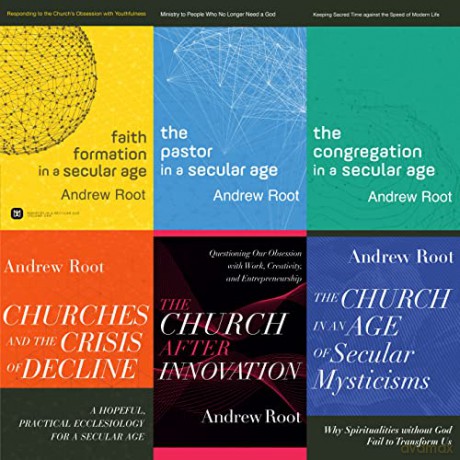 Ministry In A Secular Age 6volume Set - Andrew Root [KSIĄŻKA]