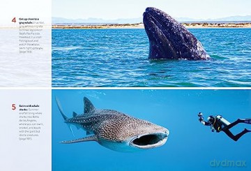 Moon Baja Tijuana To Los Cabos - Jennifer Kramer [KSIĄŻKA]