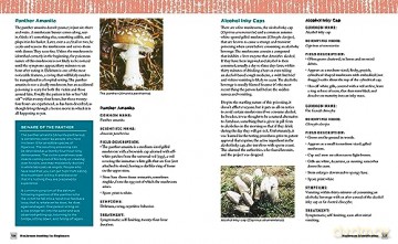 Mushroom Hunting For Beginners - Gary Lincoff [KSIĄŻKA]