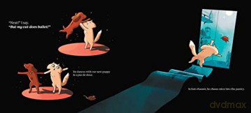 My Cat Does Ballet - Robert Heidbreder [KSIĄŻKA]