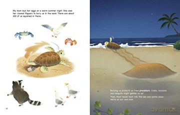 My Life As A Sea Turtle - John Sazaklis [KSIĄŻKA]