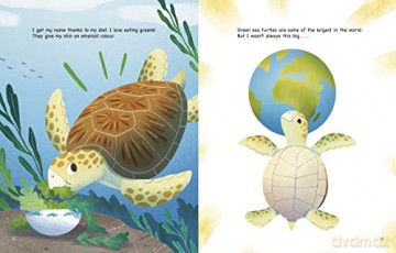 My Life As A Sea Turtle - John Sazaklis [KSIĄŻKA]