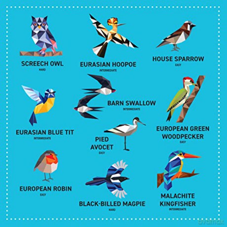 My Sticker Paintings Birds - Clorophyl Editions [KSIĄŻKA]