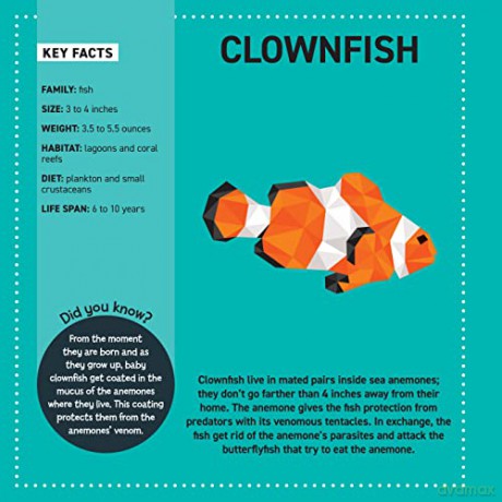 My Sticker Paintings Ocean Animals - Clorophyl Editions [KSIĄŻKA]