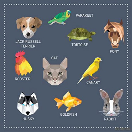 My Sticker Paintings Pets - Logan Powell [KSIĄŻKA]
