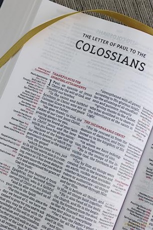 Nasb Thompson Chain-Reference Bible H - Thompson Dr. Frank [KSIĄŻKA]