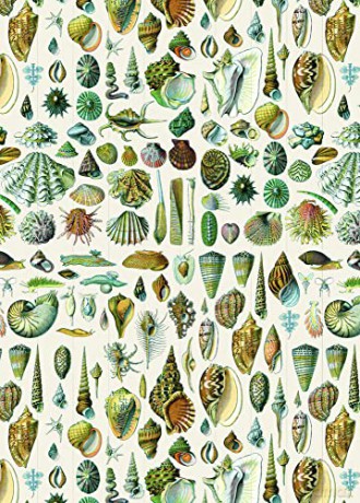 Natural History - Pepin Van Roojen [KSIĄŻKA]