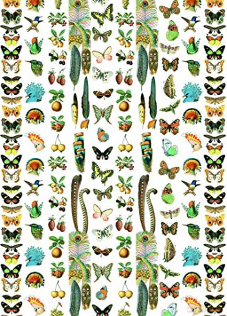 Natural History - Pepin Van Roojen [KSIĄŻKA]