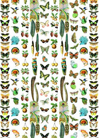 Natural History - Pepin Van Roojen [KSIĄŻKA]