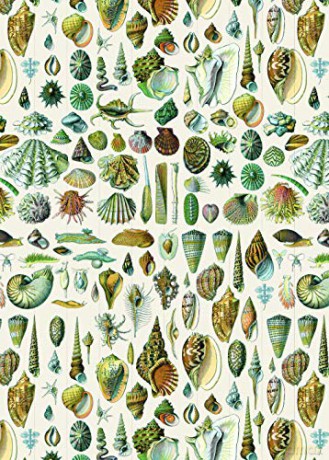 Natural History - Pepin Van Roojen [KSIĄŻKA]