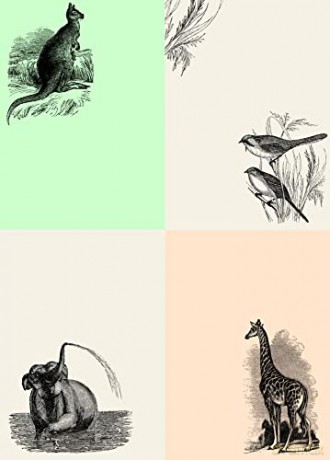 Natural History - Pepin Van Roojen [KSIĄŻKA]