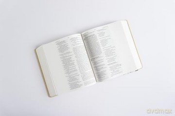 Niv Art Journalling Bible - New International Ve [KSIĄŻKA]