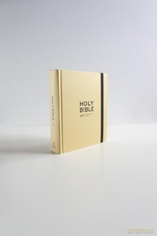Niv Art Journalling Bible - New International Ve [KSIĄŻKA]