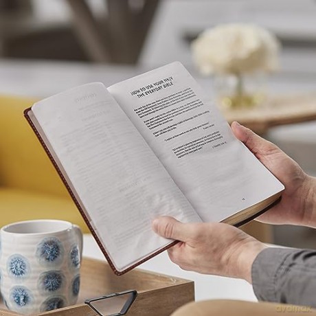 Nkjv The Everyday Bible Paperback Red Le [KSIĄŻKA]