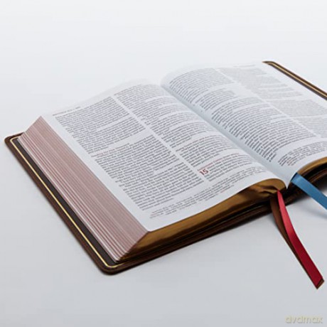 Nkjv Thinline Ref Bible Large Print Leat - Thomas Nelson [KSIĄŻKA]