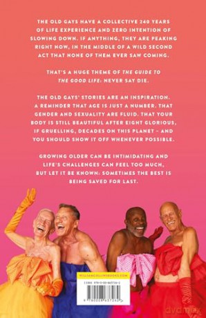 Old Gays Guide To Good Life - Jessay Et Al Martin [KSIĄŻKA]