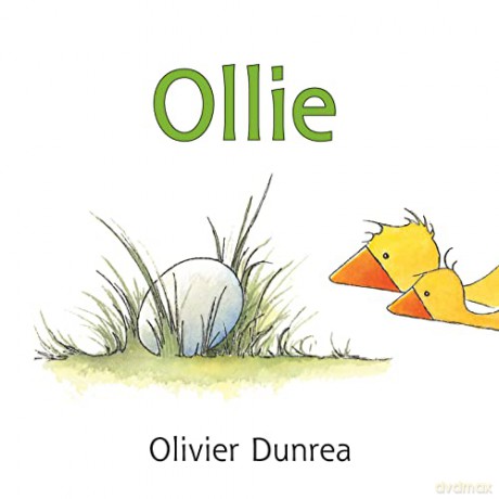 Ollie Board Book - Dunrea Olivier [KSIĄŻKA]