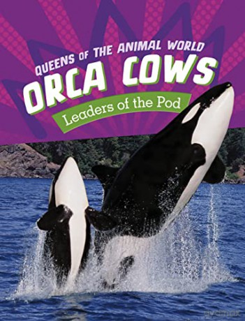 Orca Cows - Jaclyn Jaycox [KSIĄŻKA]