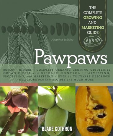 Pawpaws - Blake Cothron [KSIĄŻKA]